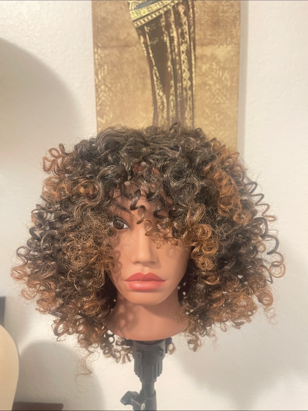 Curly Synthetic Wig with Brown and Honey Highlights - Women Hair